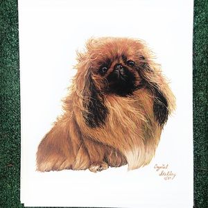Pekingese lithograph art print 8x10” by Skelley